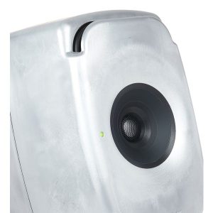 Genelec 8331 RAW