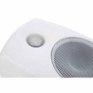 Genelec 8010 AW